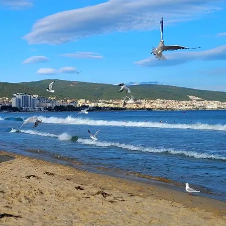 Wonderful Deluxe In Cascadas Family Sunny Apartment