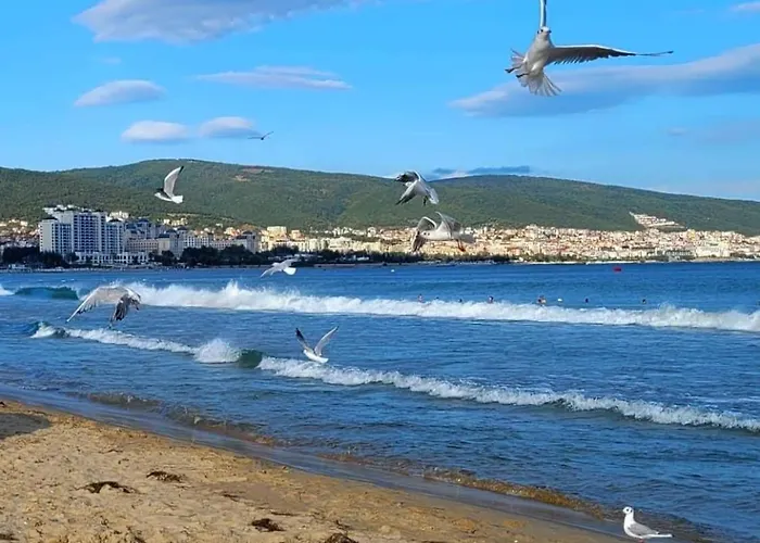 Wonderful Deluxe In Cascadas Family Sunny Apartment